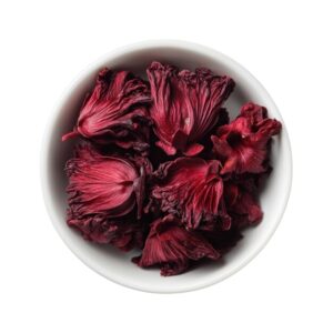 Hibiscus Flower