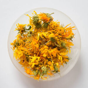 Calendula Flowers
