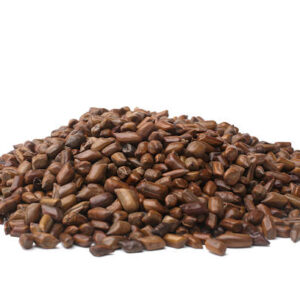 Cassia seeds